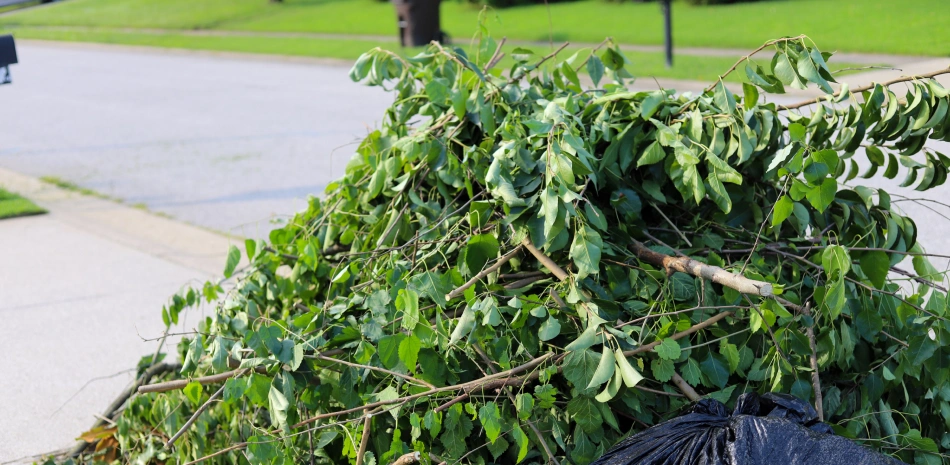 24 7 services 24 7 services