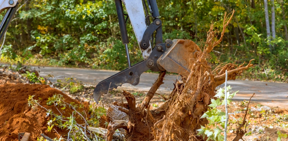 lot clearing services